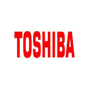 Toshiba Vaschetta Recupero Toner per E-Studio338CS