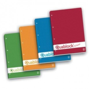 BLOCCO QUABLOCK PIGNA 15X21 QUADRI 4MM