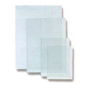 BUSTA IN PLASTICA ESSELTE 580100/590100 A/4 A  LUCIDA